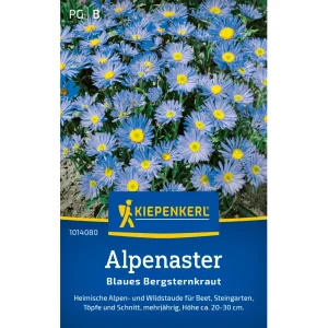 Sämerei-Alpenaster ‚Hellblau‘