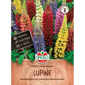Sämerei-Lupine ‚SPERLI´s Zauberkerzen‘
