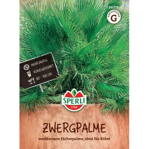 Sämerei-Zwergpalme