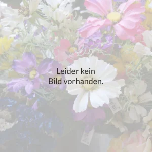 Windhager Winterschutz-Matte Kokos | 50 x 150 cm