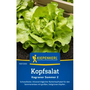 Sämerei-Kopfsalat ‚Kagraner Sommer 2‘