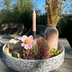 Herbstteller im Set (du sparst 4,30€)